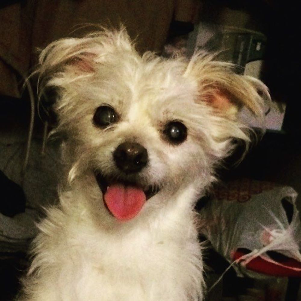 Meet your Posher, Jeremy